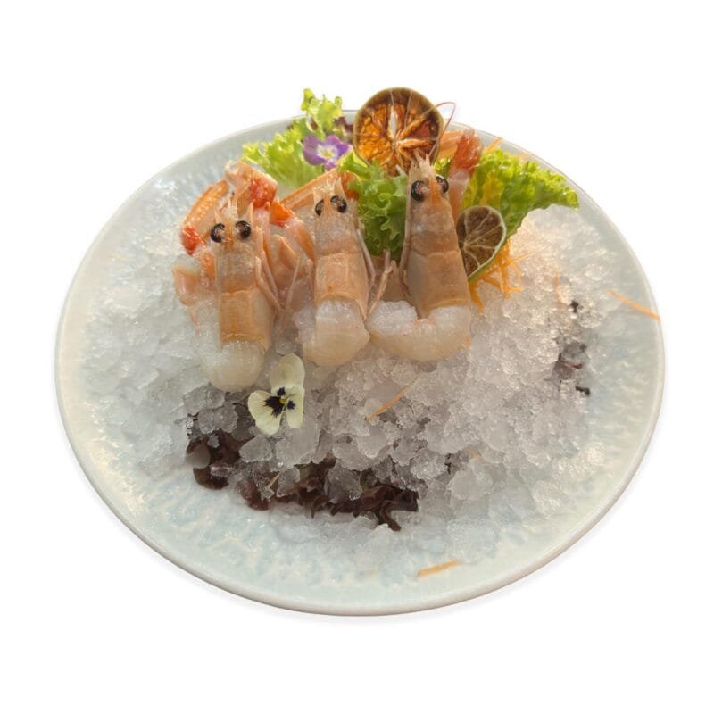 fude ramen - sashimi scampo